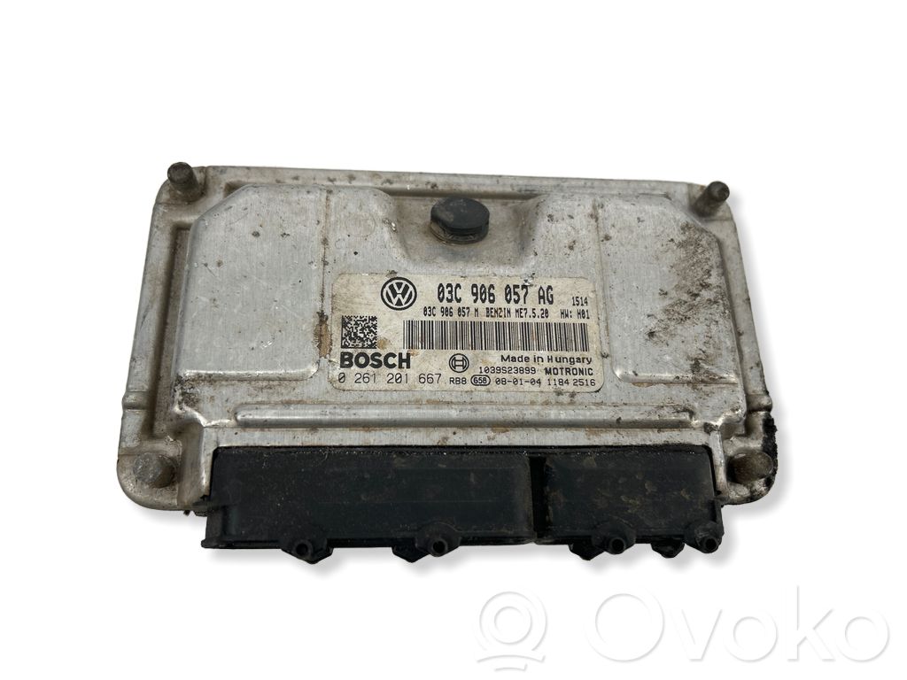Seat Ibiza III (6L) Engine control unit/module 