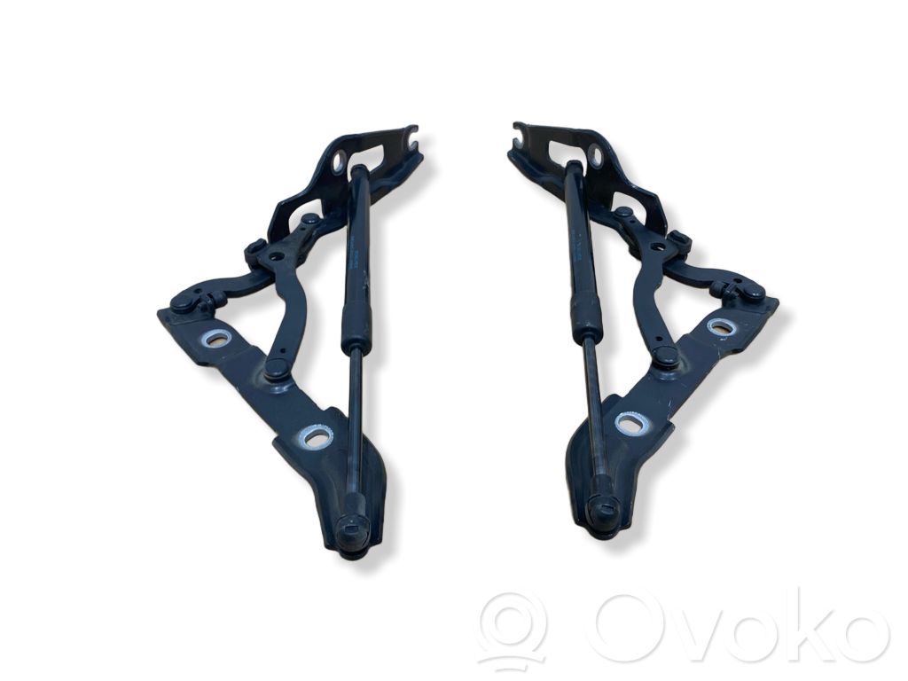 BMW 1 E82 E88 Engine bonnet/hood hinges 