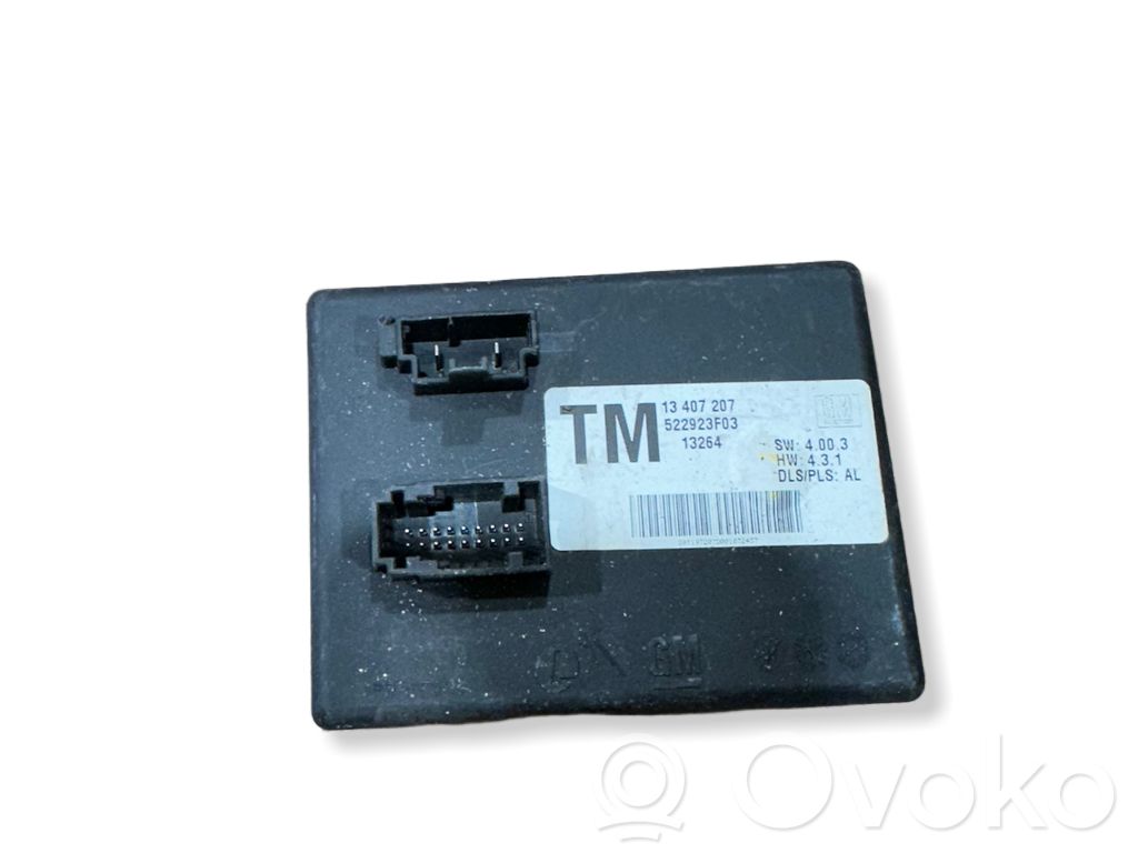 Module d'éclairage LCM   13407207,522923F03