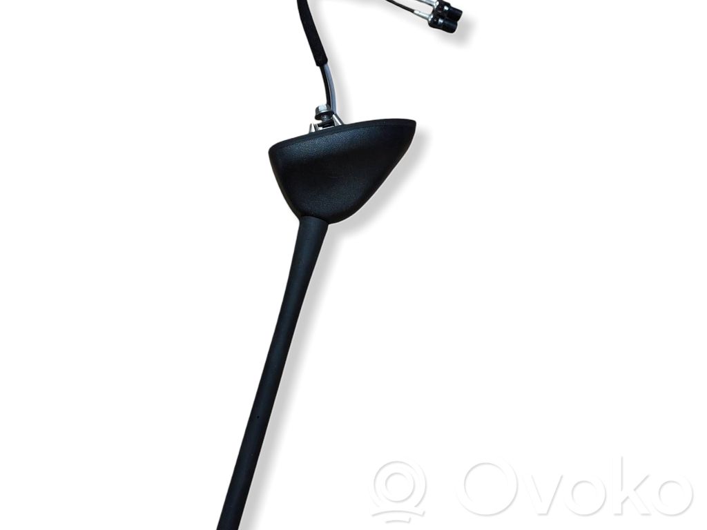 Ford Fiesta Radion antenni 
