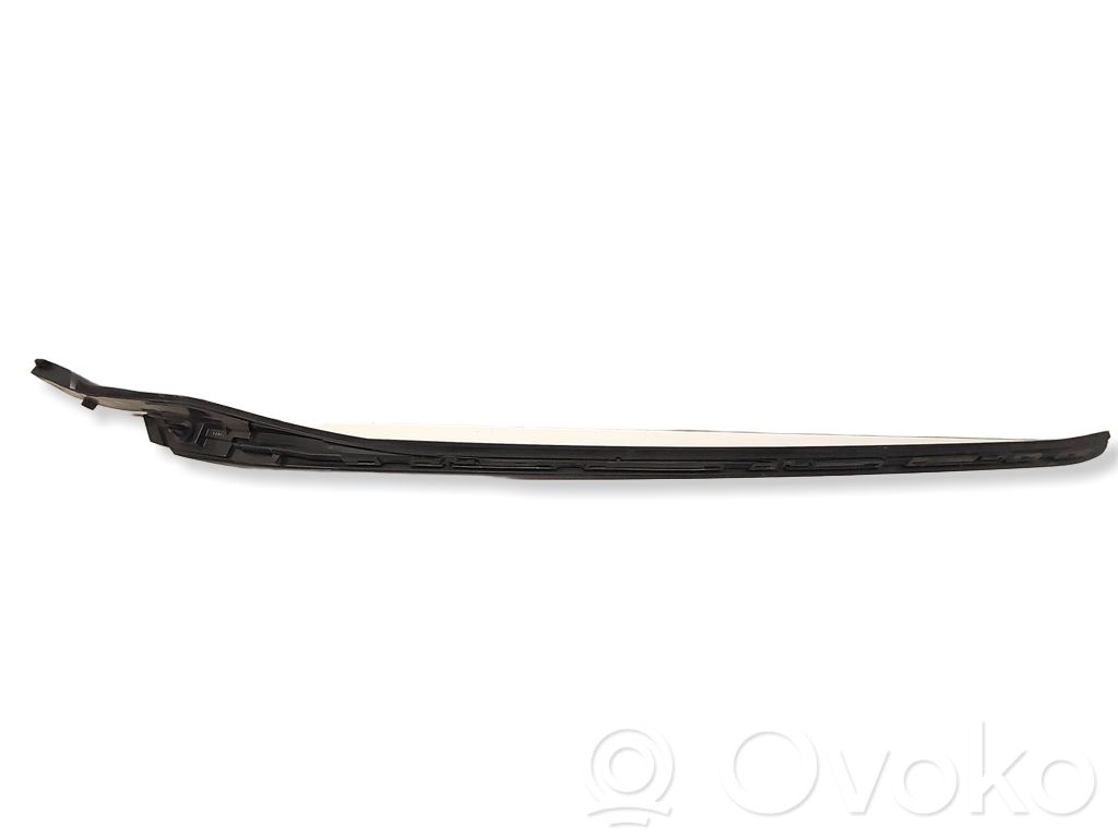 Windshield trim   74R