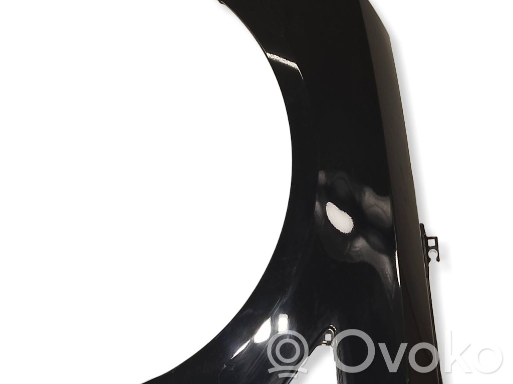 Guardabarro   EM2BR16073AA