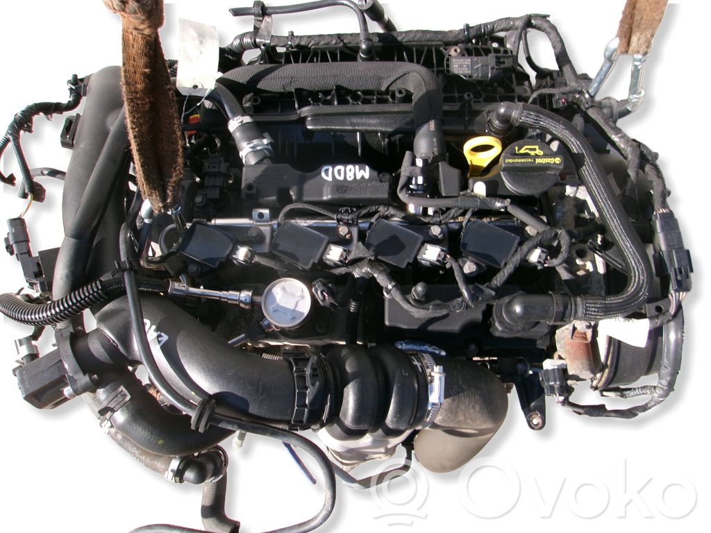 Ford Focus Variklis 