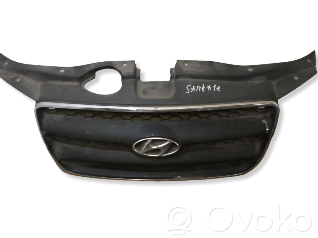 Hyundai Santa Fe Front grill 