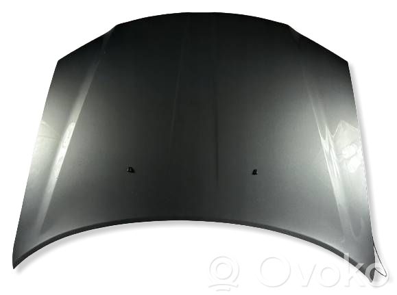 Motorhaube