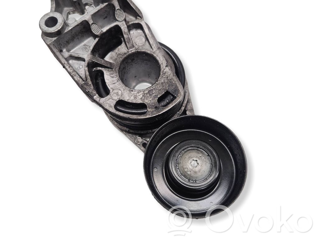Seat Ibiza III (6L) Tendicinghia generatore/alternatore 