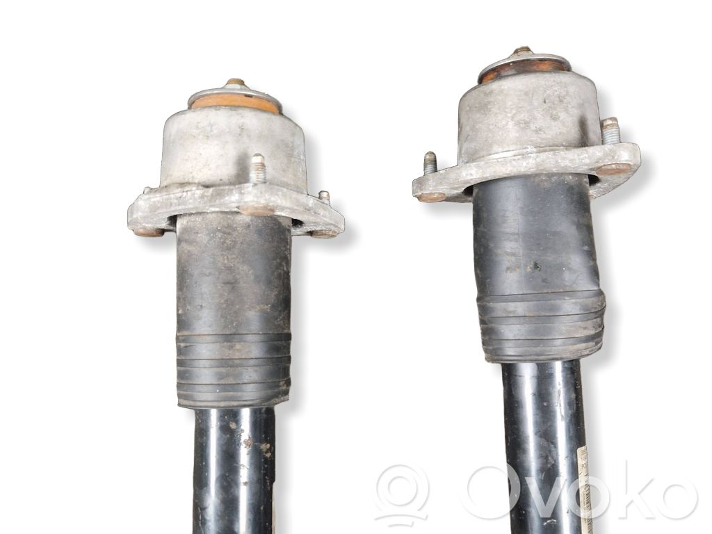 BMW X6 E71 Rear shock absorber/damper 