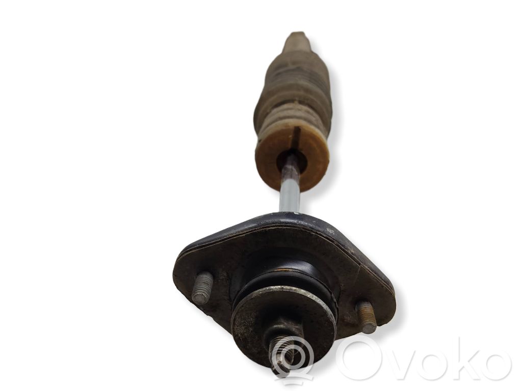 Galinis amortizatorius   R0251480