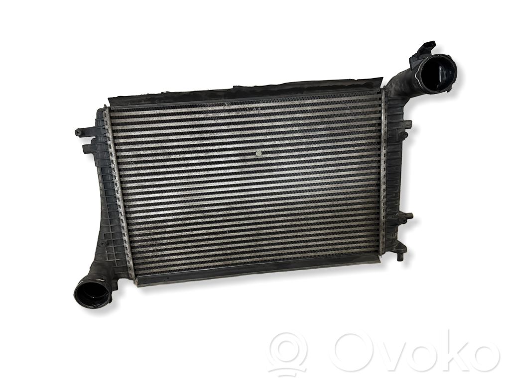 Volkswagen PASSAT B6 Interkūlerio radiatorius 