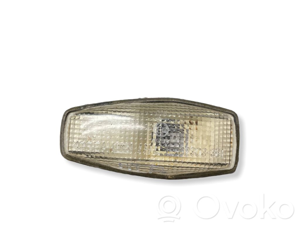 Hyundai Terracan Seitenblinker 