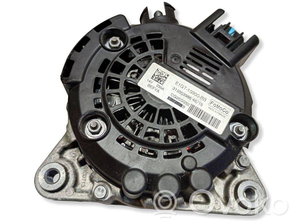 Ģenerators   E1GT10300BB,CG25S032,315003986