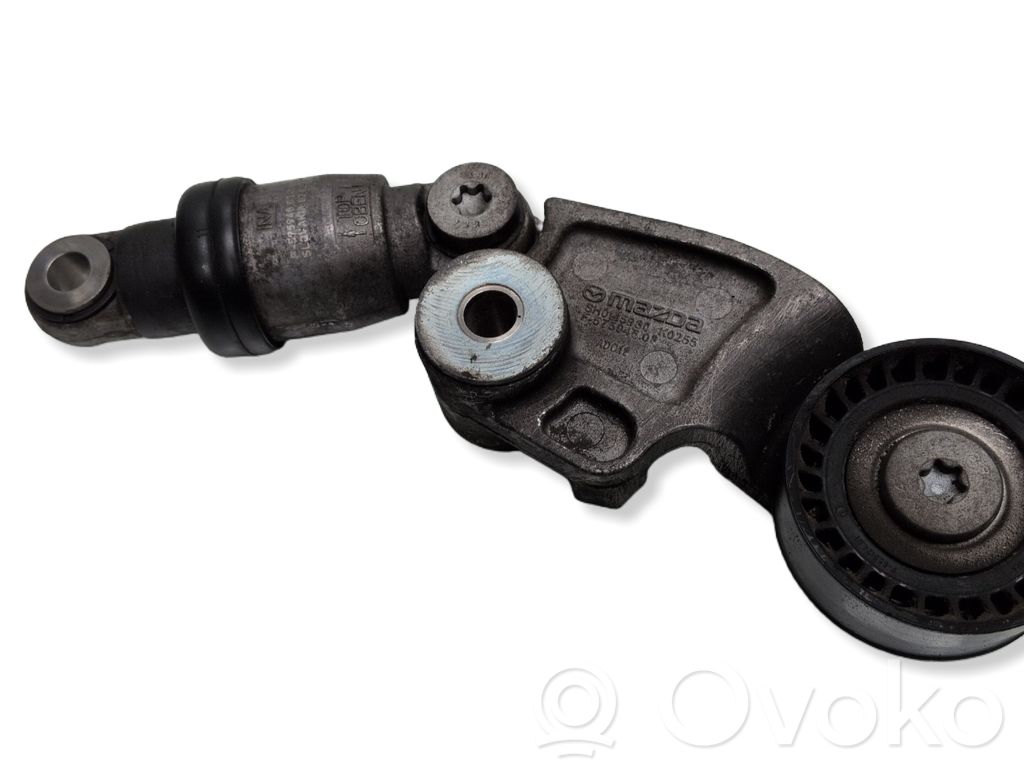 Diržo įtempėjas   SH0115980,F575948,F57594803
