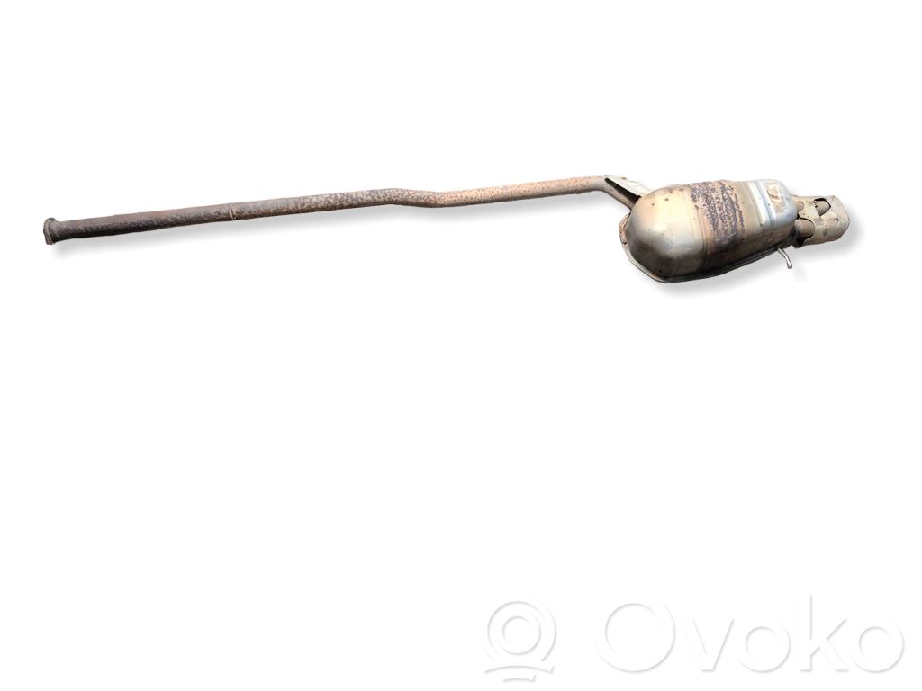 Duslintuvas   316728