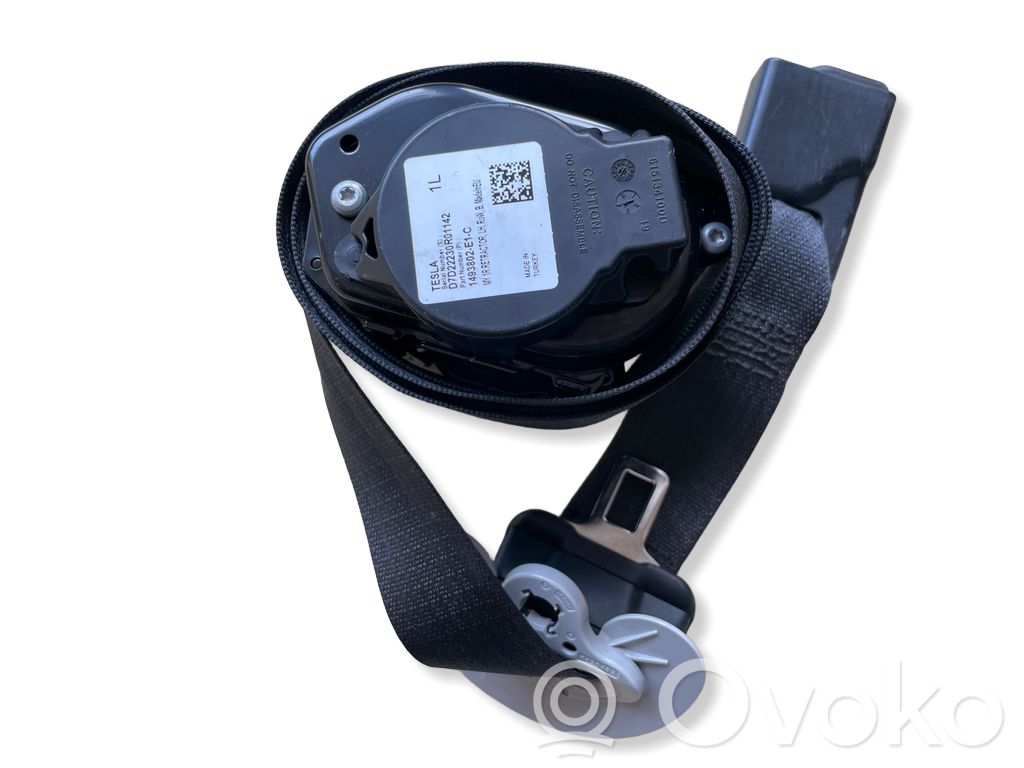 Cinturón delantero   1493802,1493802E1C,1493802C1C,1493802C1D