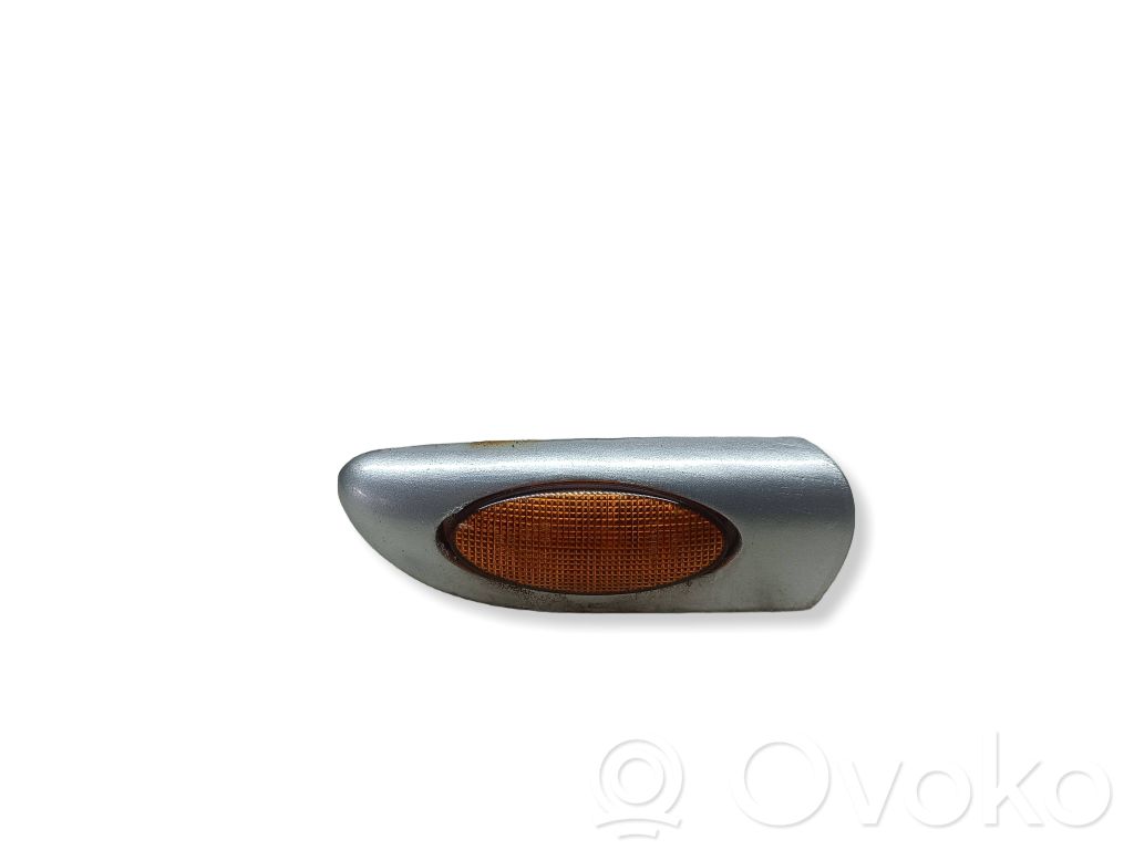 Seitenblinker