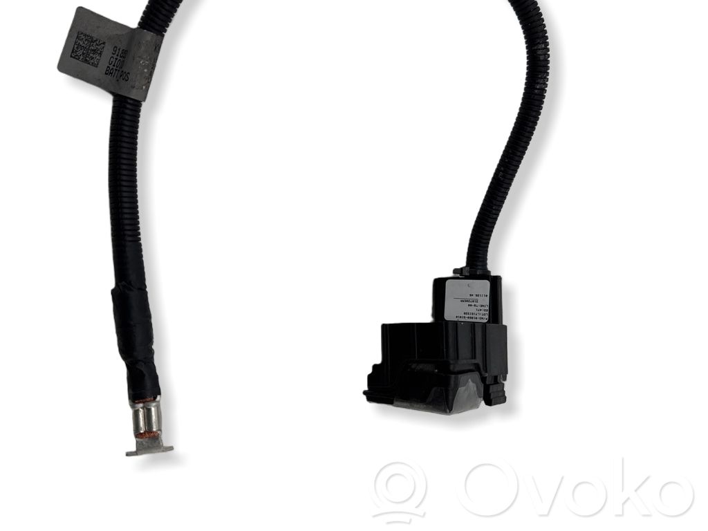 Hyundai Ioniq 5 Positive cable (battery) 