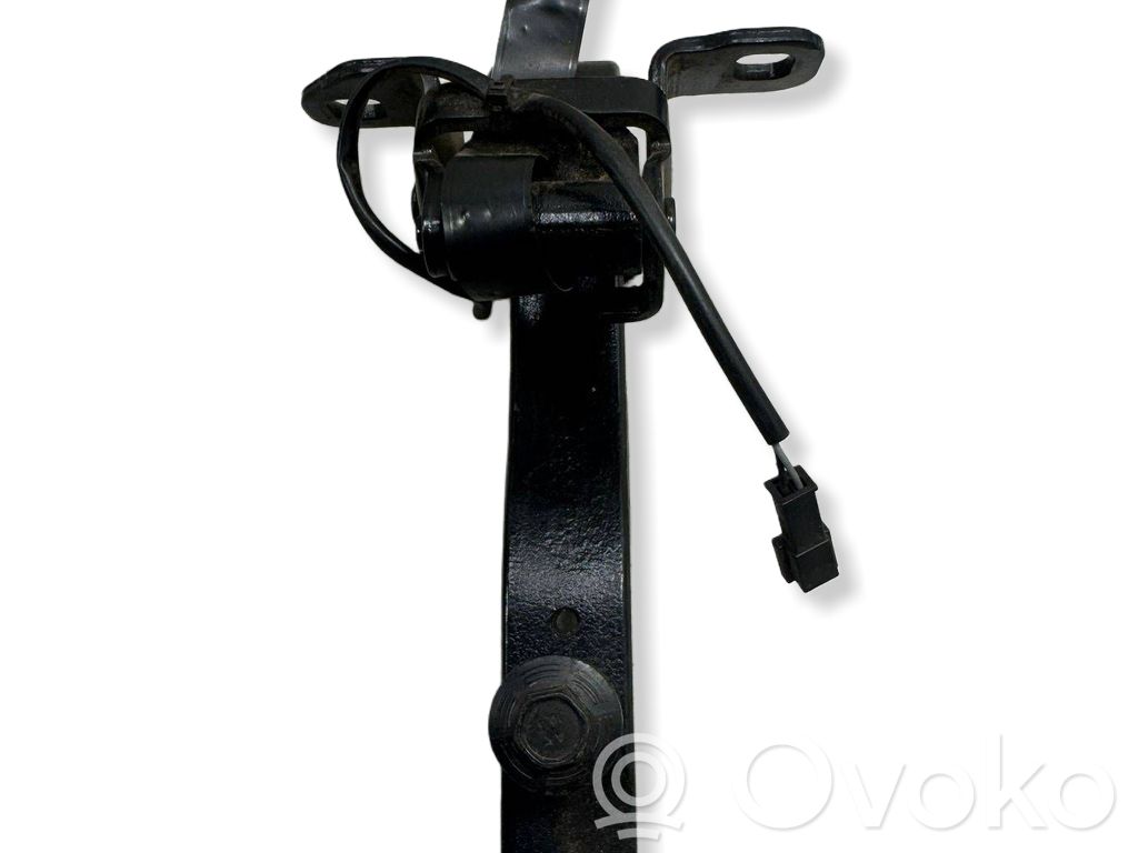 BMW i3 Tailgate/trunk/boot hinge 