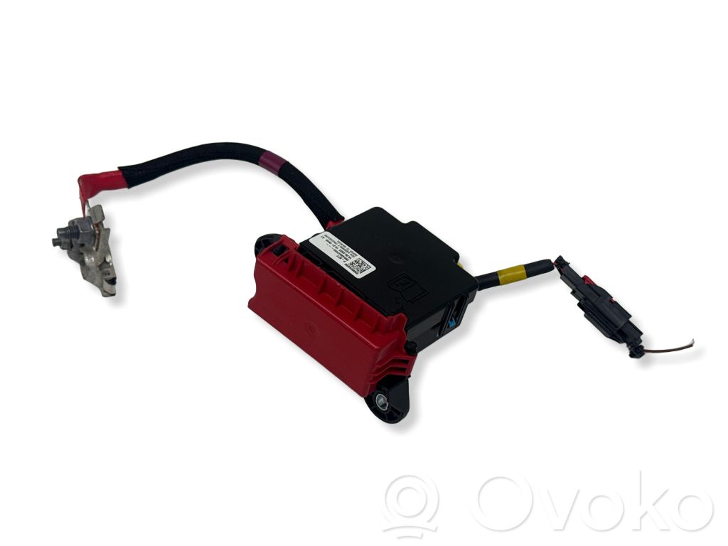 Renault Austral Pluskabel Batterie 
