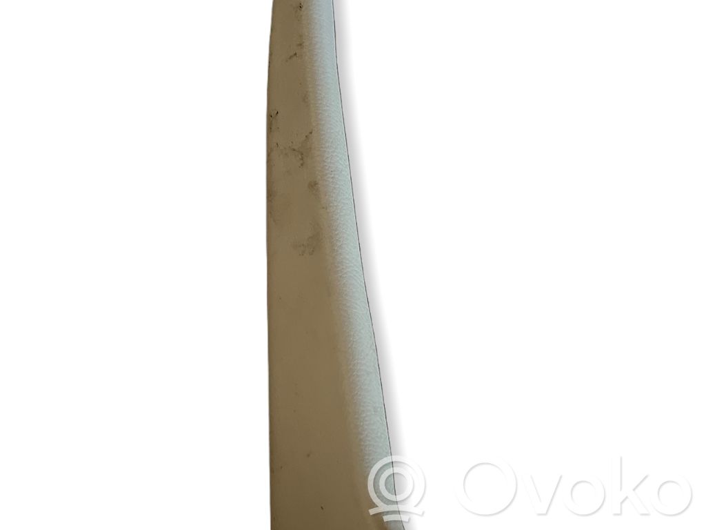 Volkswagen Phaeton Other sill/pillar trim element 