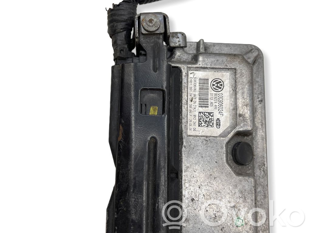 Seat Ibiza III (6L) Engine control unit/module 