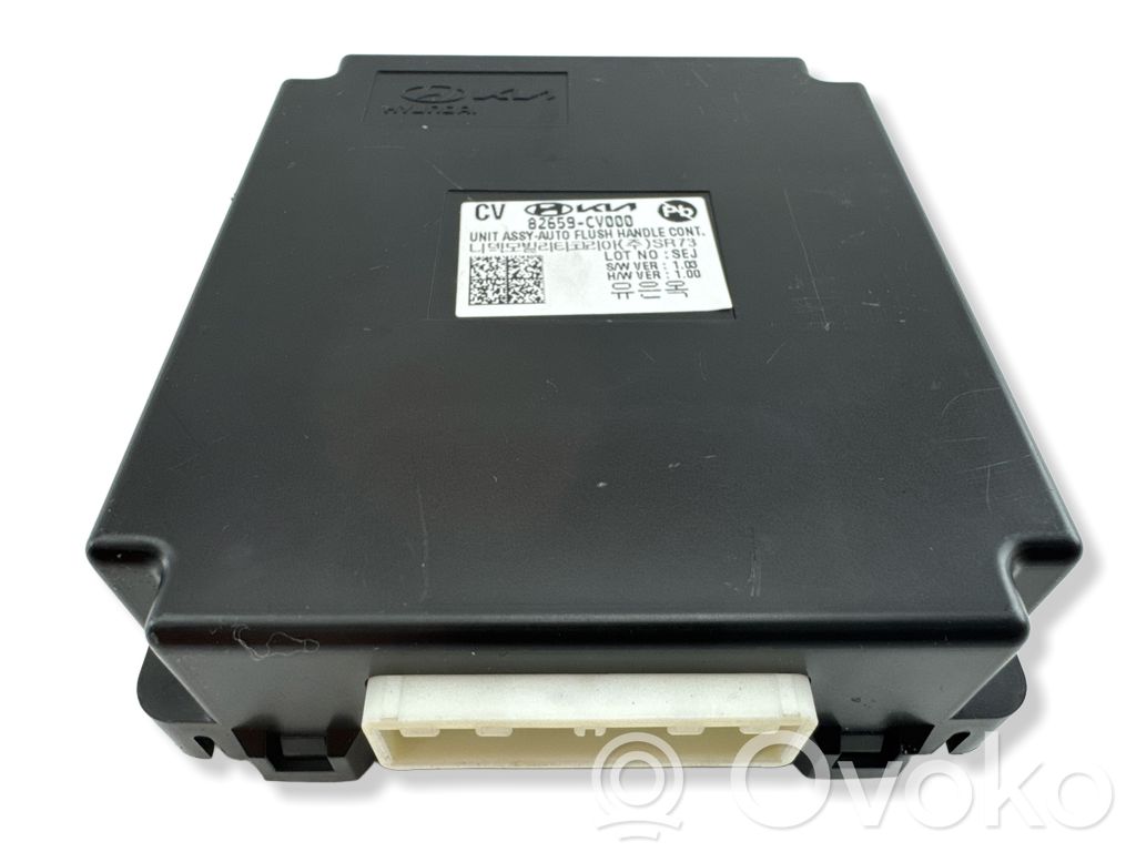 KIA EV6 Door control unit/module 