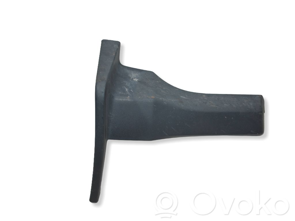 Dodge RAM Rear mudguard 