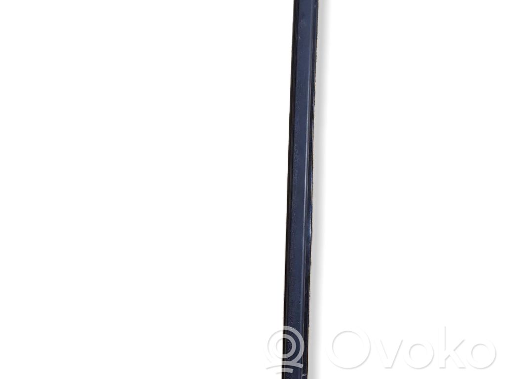 Citroen C6 Front door rubber seal 