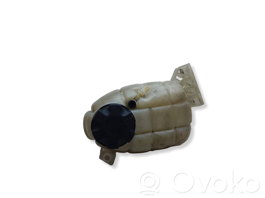 BMW 3 F30 F35 F31 Vas expansiune/rezervor lichid de răcire 