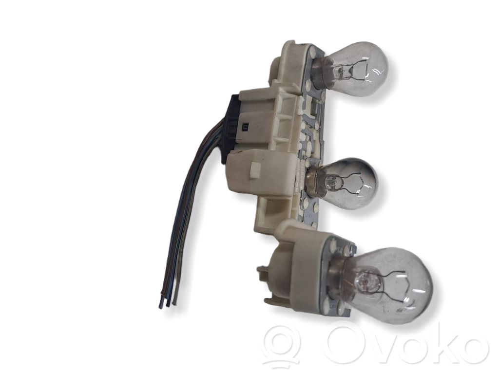 Tail light bulb cover holder   27638014