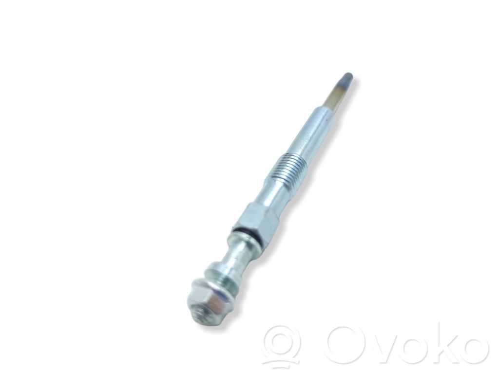 Glow plug   2100124,1404479