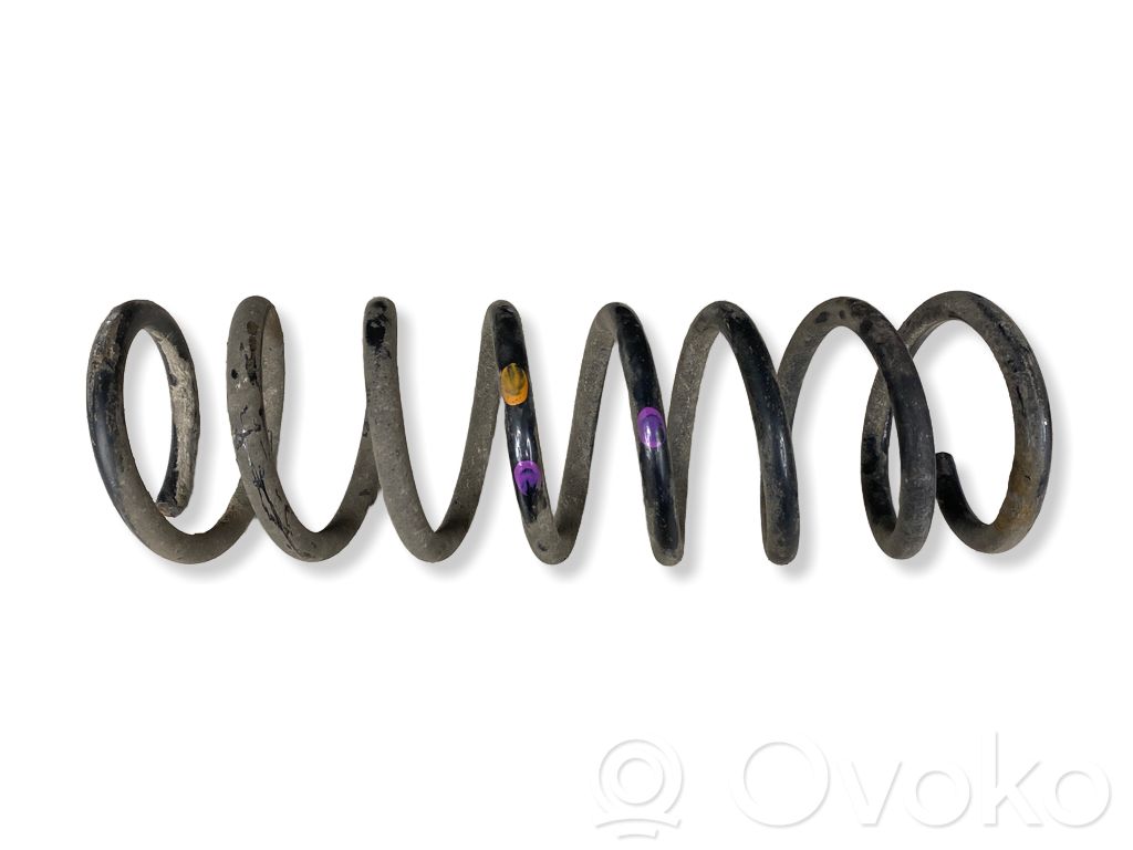 Muelle espiral trasero