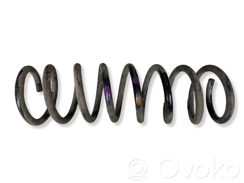 Muelle espiral trasero