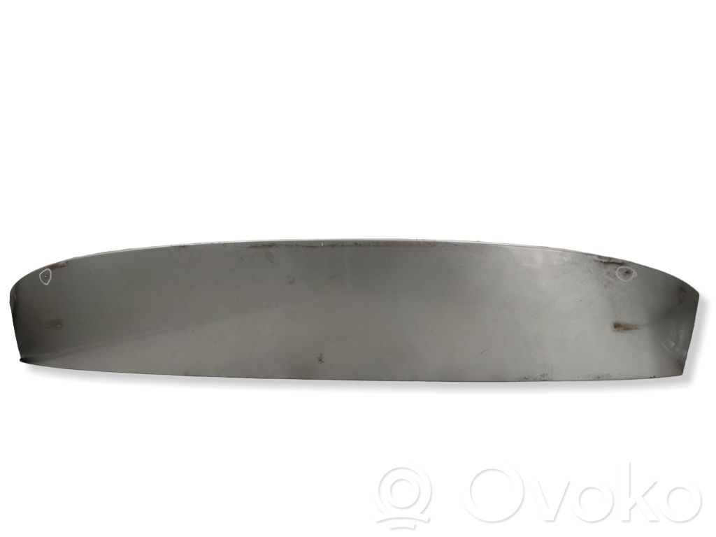 Spoileris galinio dangčio   8235987,20625