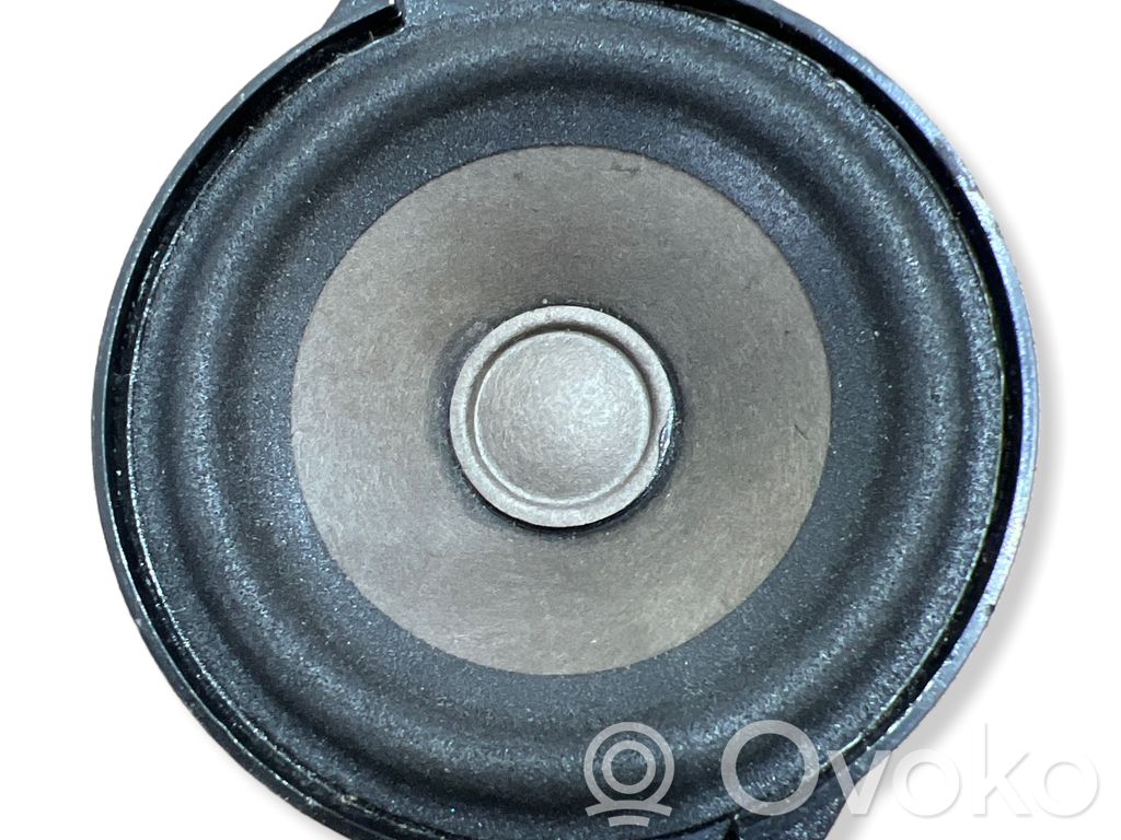 Panel speaker   100483301A,1000346001