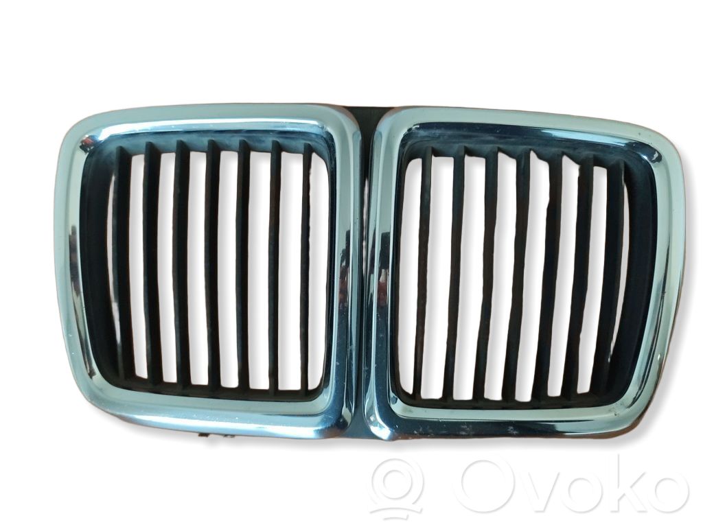 Front grill   1908697