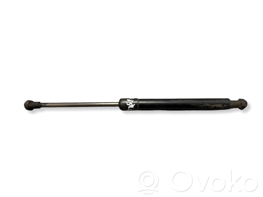 Volvo S80 Vérin de capot arrière 