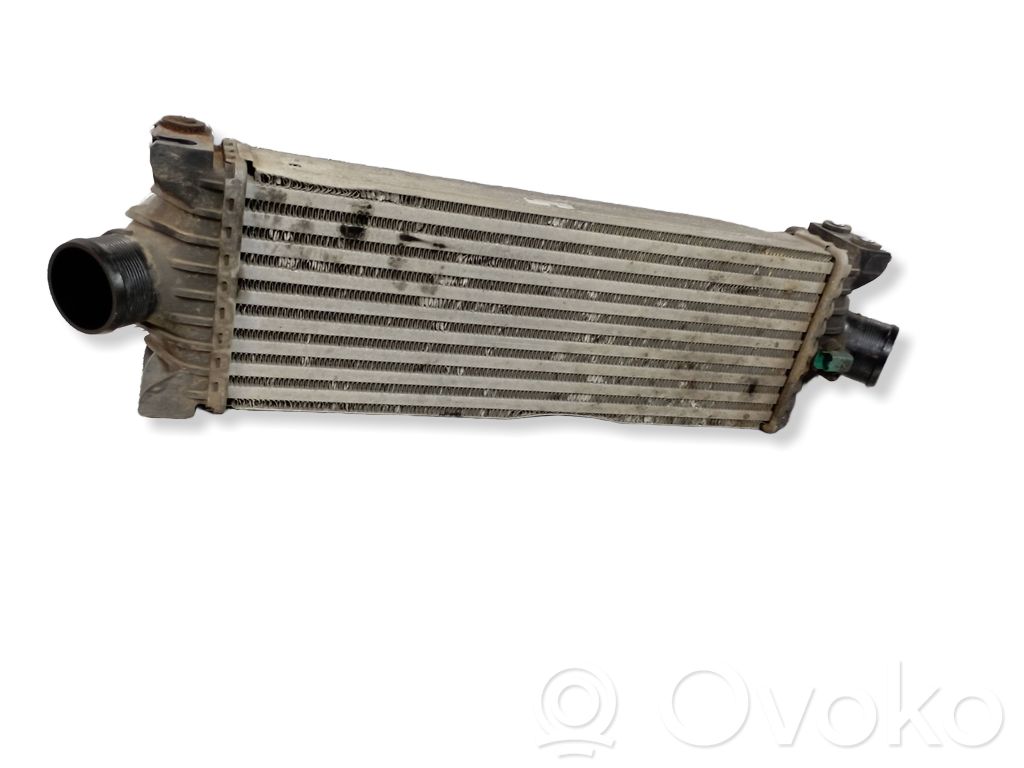 Interkūlerio radiatorius   CC119L440AD