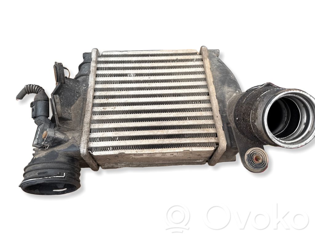 Volkswagen Bora Interkūlerio radiatorius 