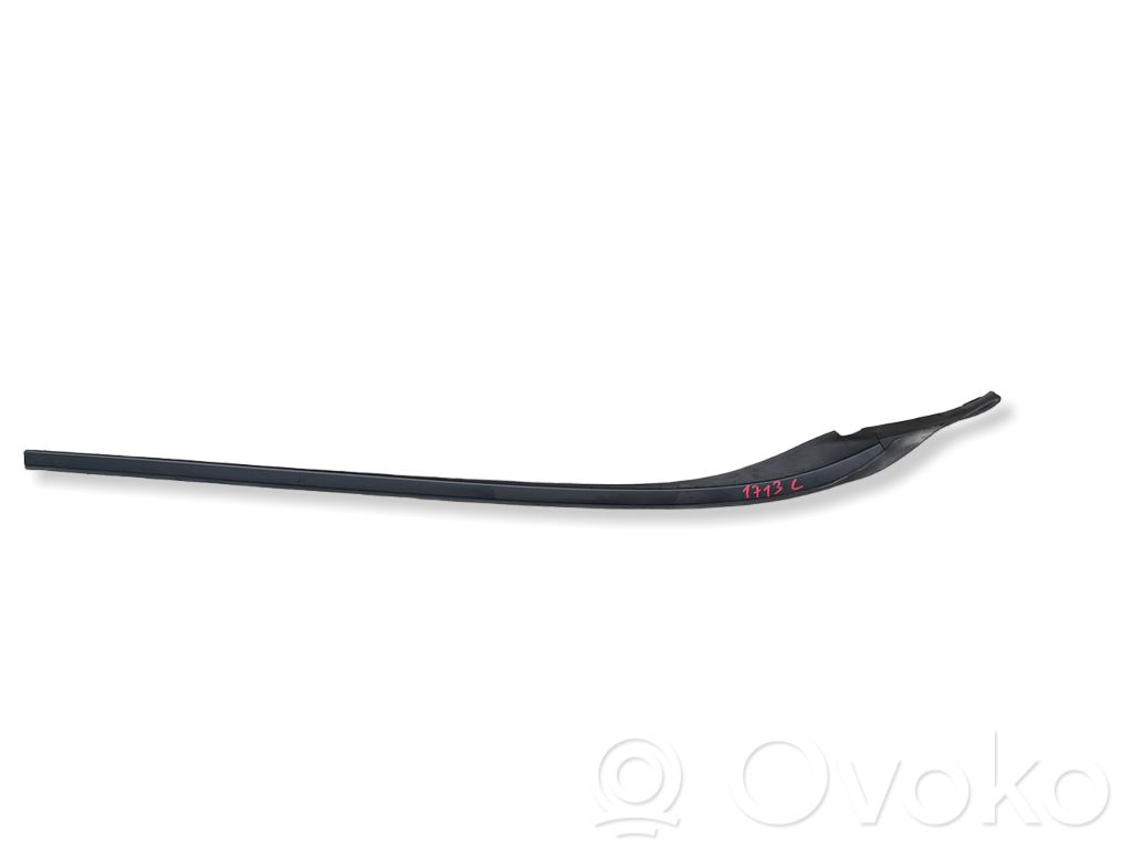 Windshield trim   31335865