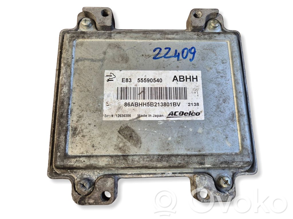 Sterownik / Moduł ECU   55590540,12636386,86ABH5B213801BV