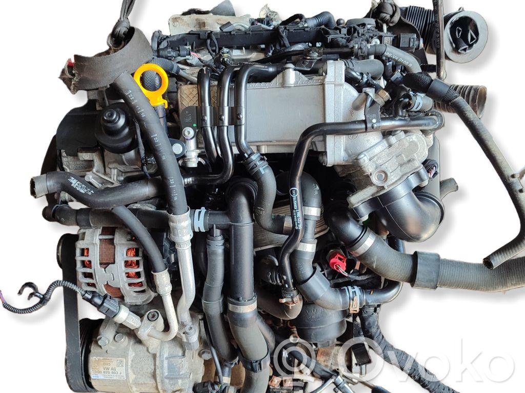 Motor   DFS,DFSA,DFSS