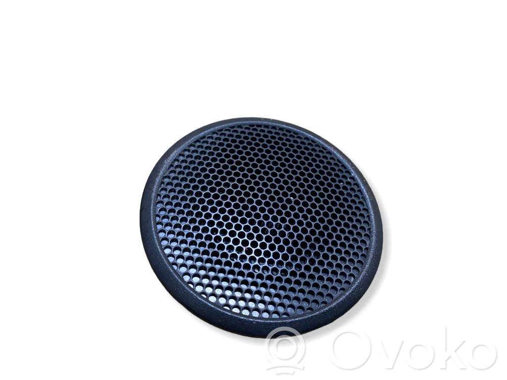 Panel speaker   D09J66960,6S813S,25WL