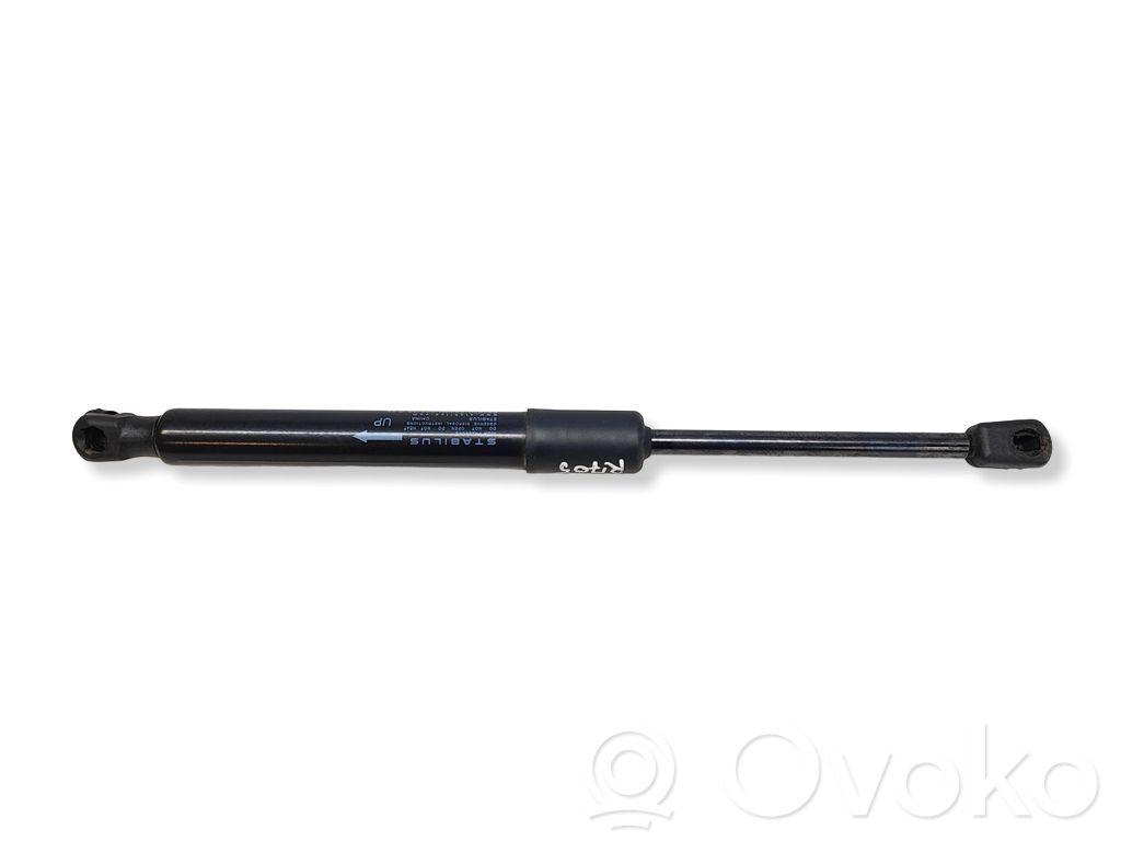 Tesla Model 3 Tailgate/trunk strut/damper 