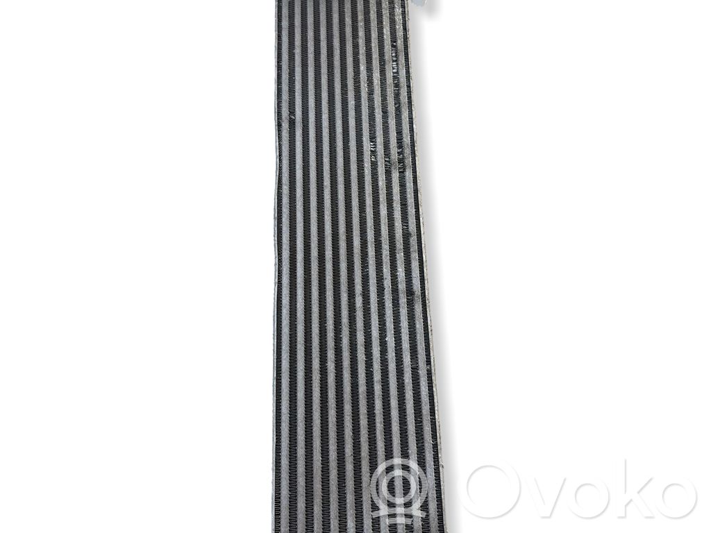 Intercooler radiator   31367277