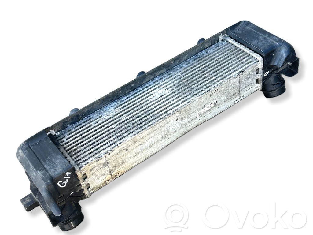 BMW 7 G11 G12 Interkūlerio radiatorius 