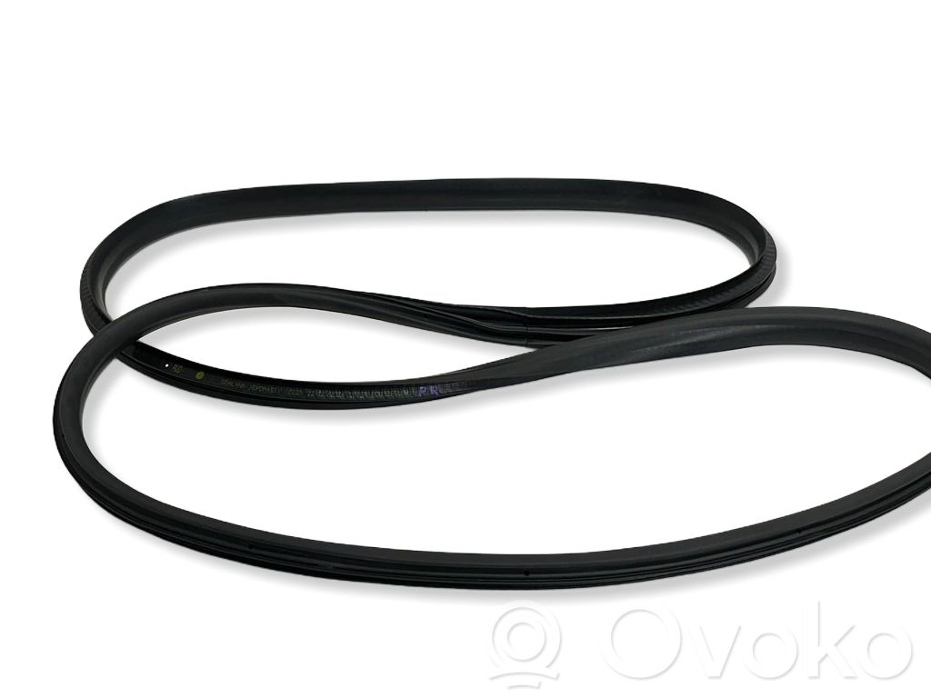 Renault Megane E-Tech Front door rubber seal 