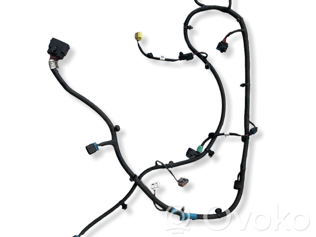 KIA EV6 Cableado del sensor de aparcamiento (PDC) 
