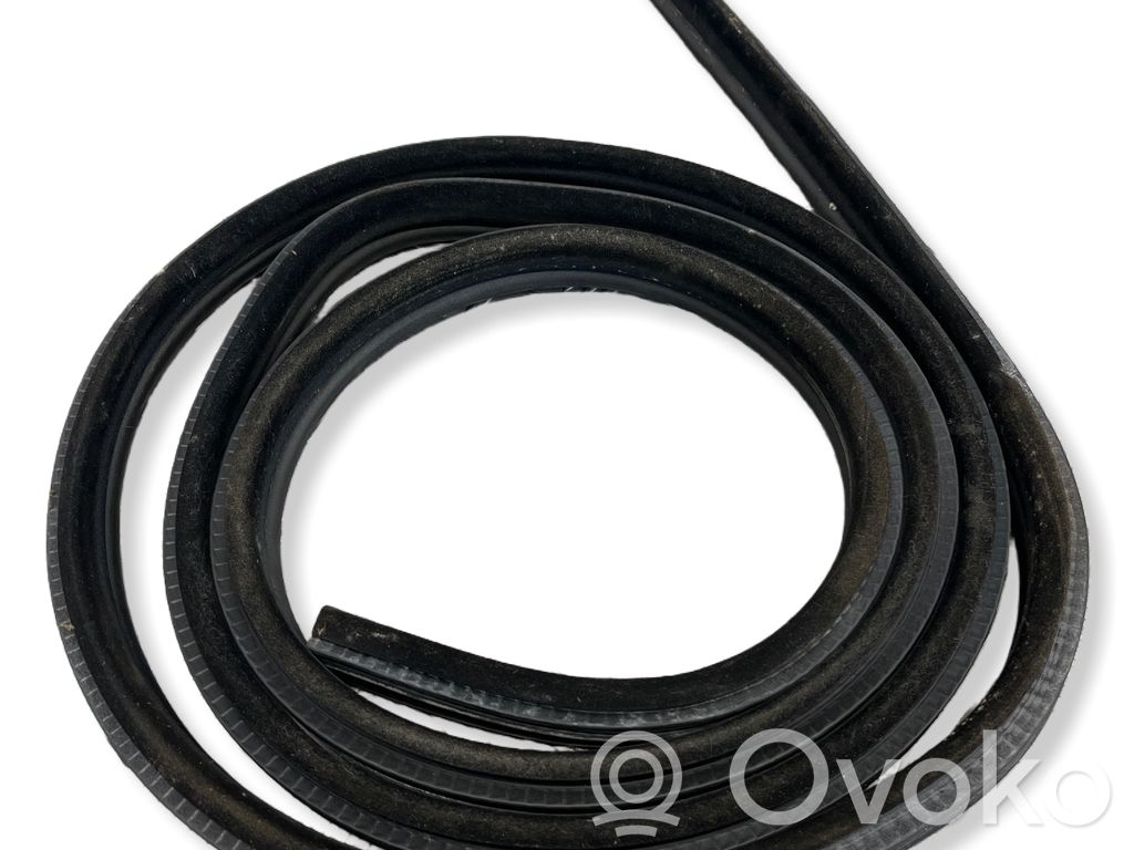 BMW 5 E60 E61 Front door rubber seal 