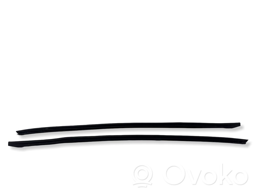 Windshield trim