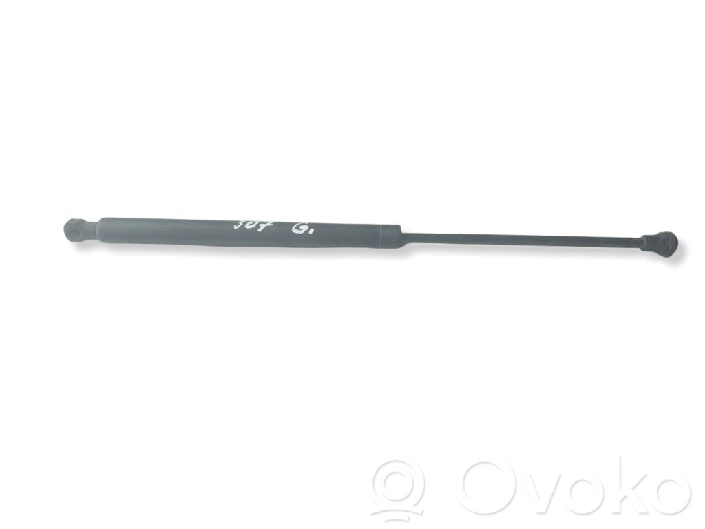 Peugeot 307 Tailgate/trunk strut/damper 